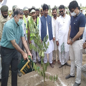 چک نمبر 172 گ ب میں ڈویژنل کمشنر نے  شجر کاری مہم کا ا فتتاح کردیا 